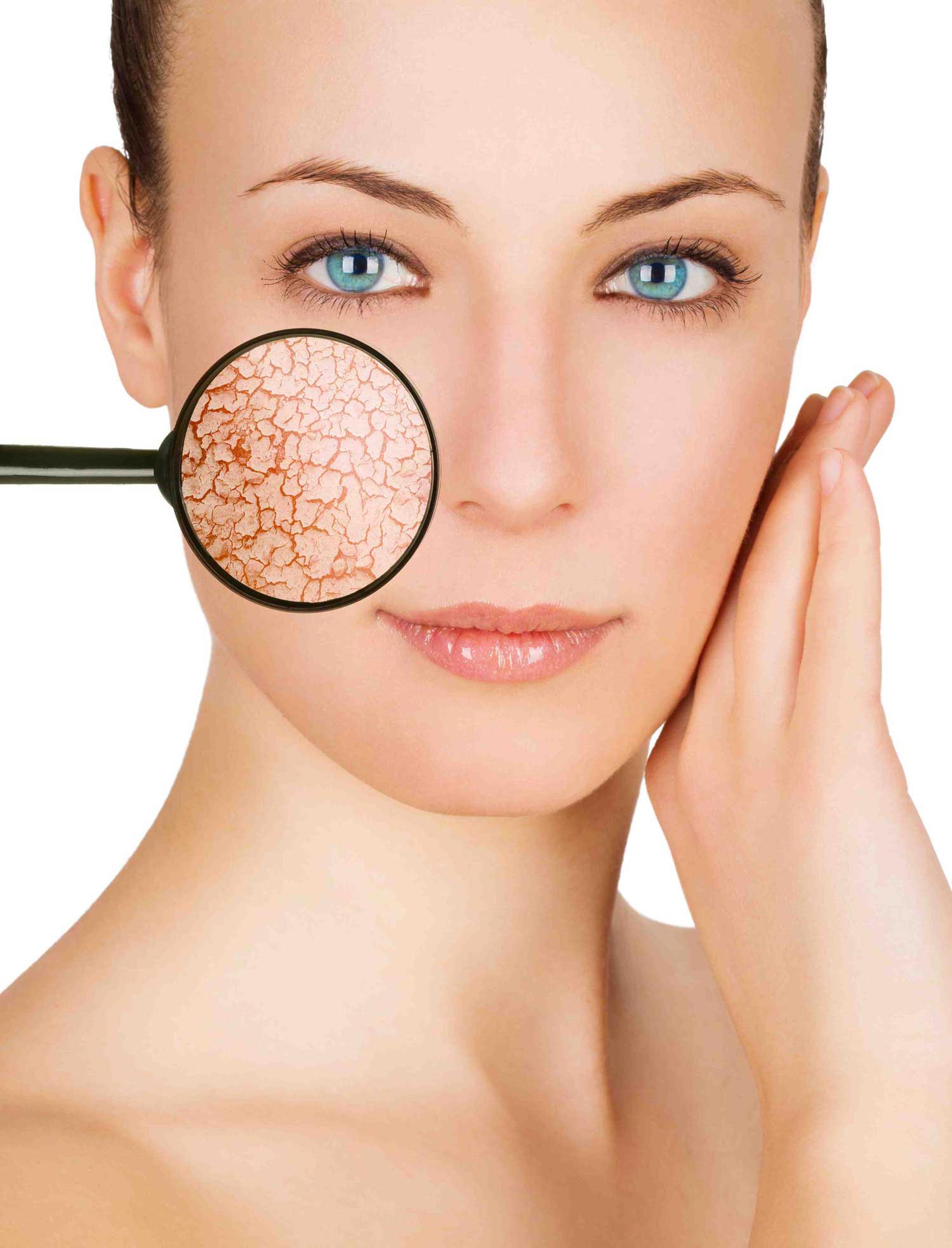 Productos de Belleza pevonia en Cúcuta Piel Seca